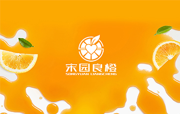 某良橙——常州LOGO设计